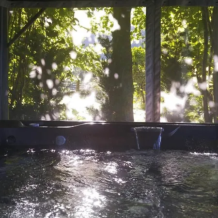 Le Cocon des Alpes- SPA-jacuzzi privatif Bourget du lac - Aix les Bains Appartement *