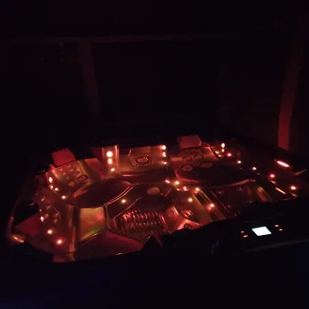 Le Cocon des Alpes- SPA-jacuzzi privatif Bourget du lac - Aix les Bains Appartement